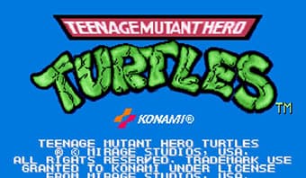 Teenage Mutant Hero Turtles